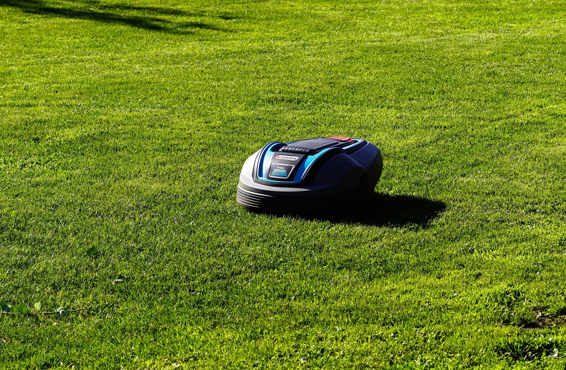 Rollrasen für Mähroboter Roboterrasen Mähroboter und Rollrasen